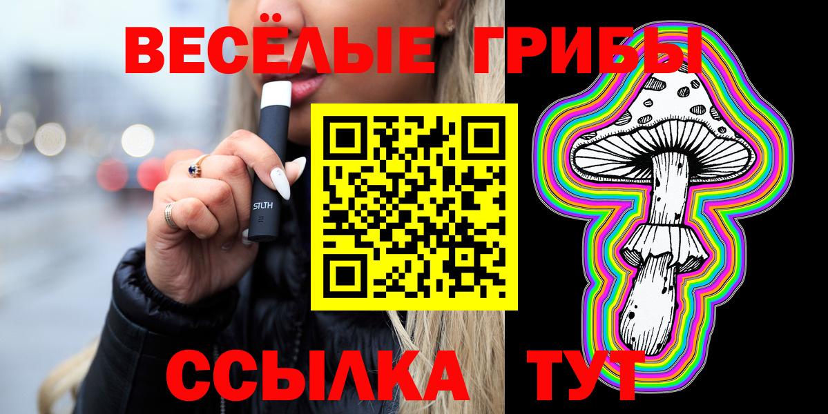 Славянск-на-Кубани  Псилоцибиновые грибы Magic Shrooms  Вход с VPN  Псилоцибиновые грибы ЛСД 