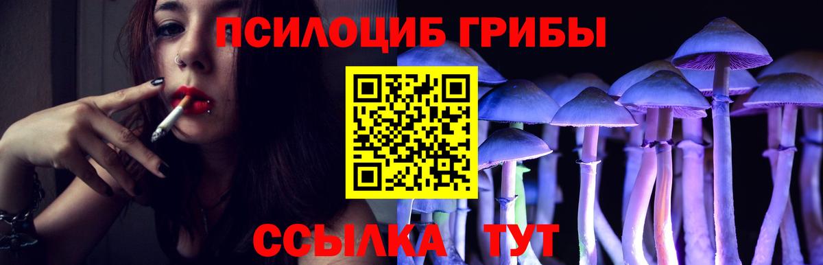 Псилоцибиновые грибы MAGIC MUSHROOMS Славянск-на-Кубани